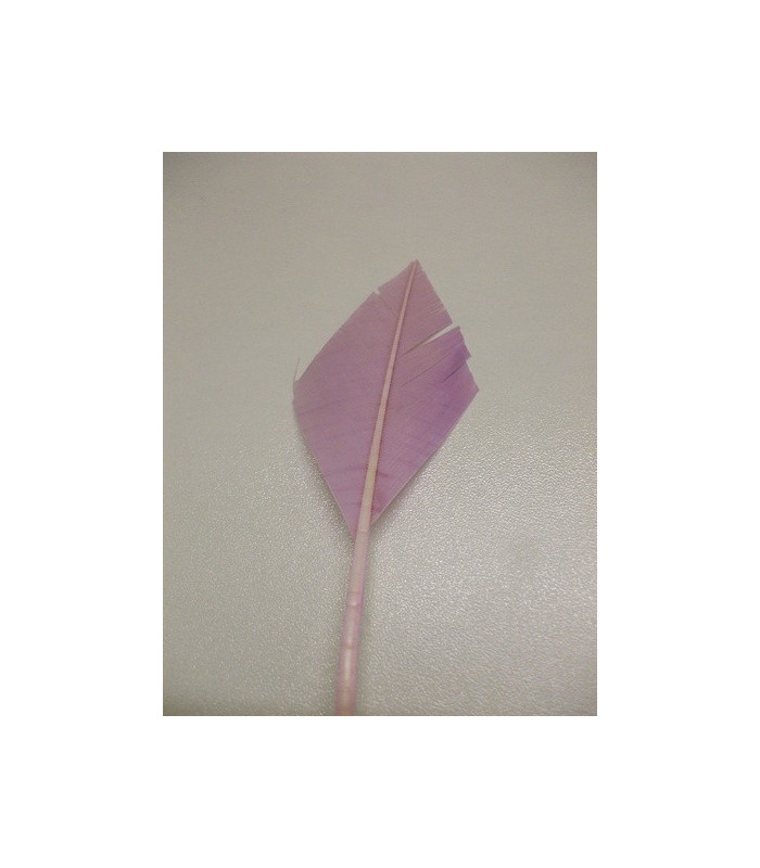 PLUME POINTE DE FLÈCHE 30 CMS.