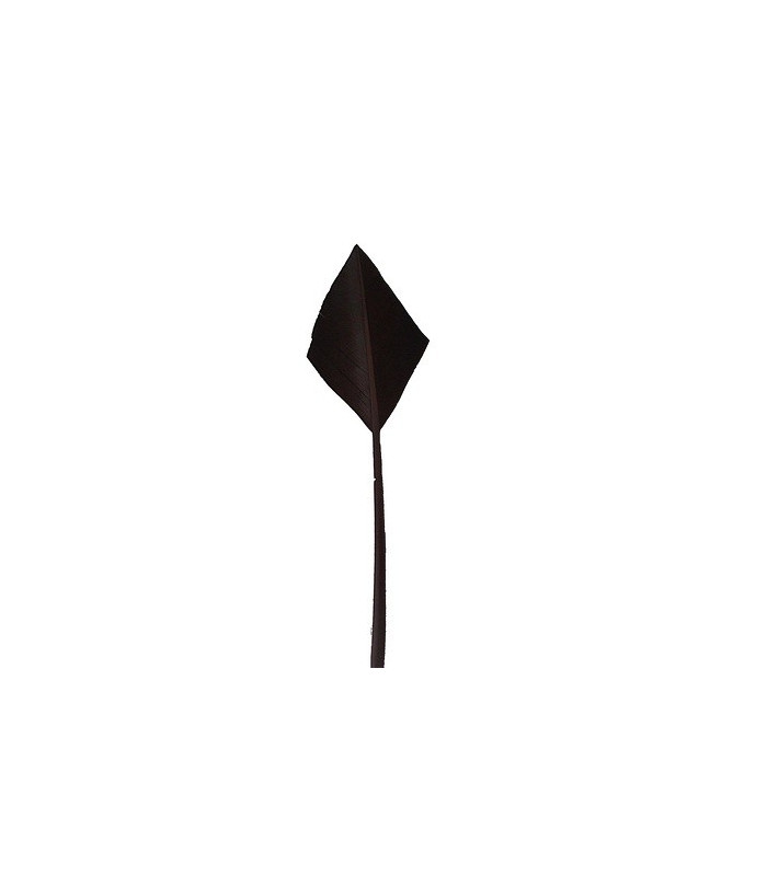 PLUME POINTE DE FLÈCHE 30 CMS.