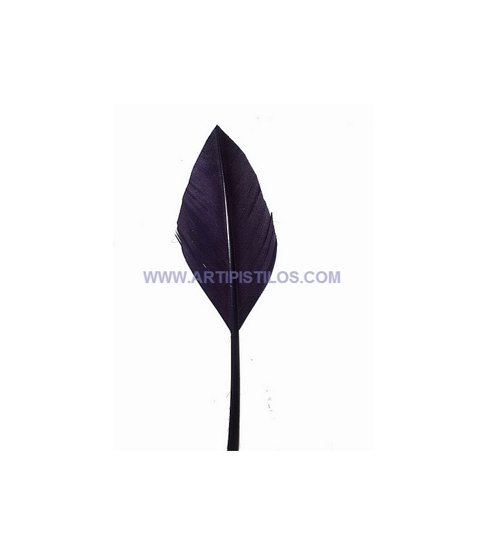 PLUME POINTE DE FLÈCHE 30 CMS.