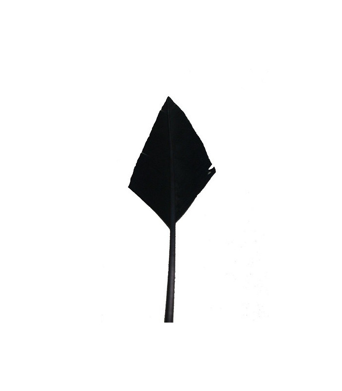 PLUME POINTE DE FLÈCHE 30 CMS.