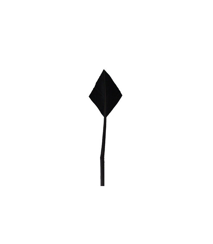 PLUME POINTE DE FLÈCHE 30 CMS.