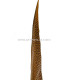 PLUME DE FAISAN DORÉ 50-55 CMS.