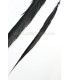 PLUME DE FAISAN DORÉ 50-55 CMS.