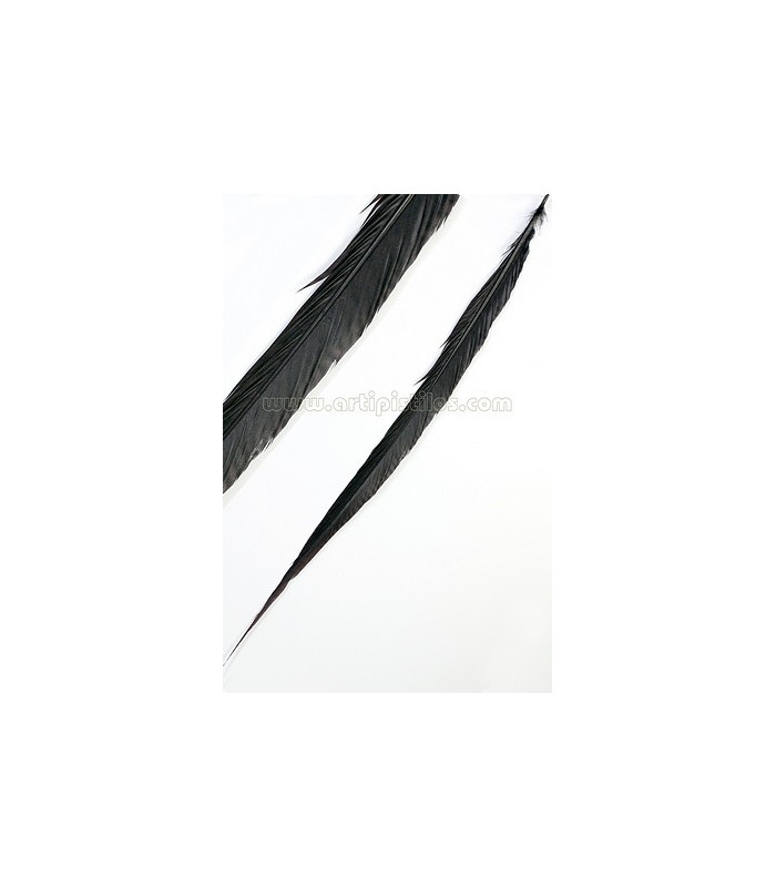 PLUME DE FAISAN DORÉ 50-55 CMS.