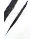 PLUME DE FAISAN DORÉ 50-55 CMS.