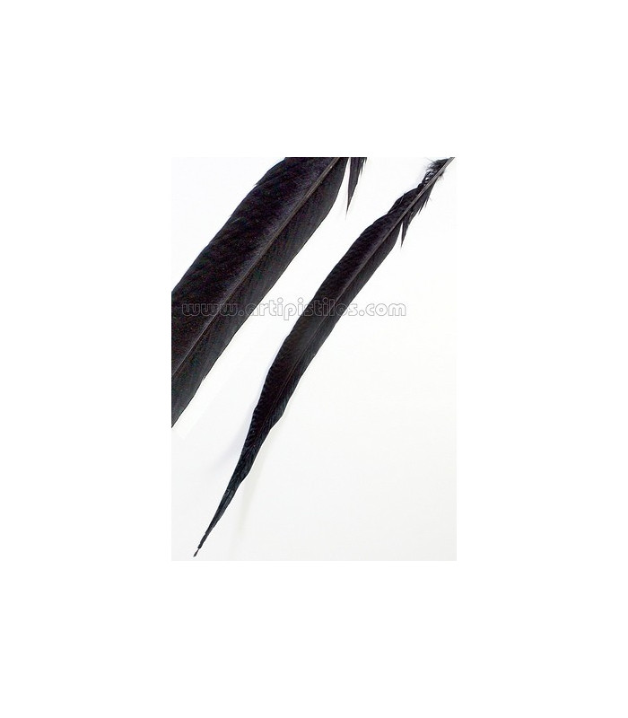 PLUME DE FAISAN DORÉ 50-55 CMS.