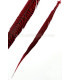 PLUME DE FAISAN DORÉ 50-55 CMS.