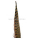PLUME DE FAISAN 36 - 41 CMS.