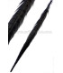 PLUME DE FAISAN 36 - 41 CMS.