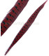 PLUME DE FAISAN 36 - 41 CMS.