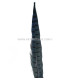PLUME DE FAISAN 36 - 41 CMS.