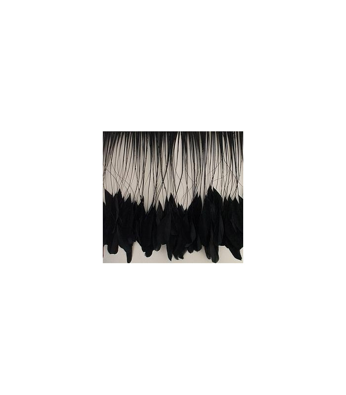 PLUMES DE COQ. RUBAN PREMIÉRE QUALITÉ  - 10 CMS.