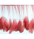 PLUMES DE COQ. RUBAN PREMIÉRE QUALITÉ  - 10 CMS.