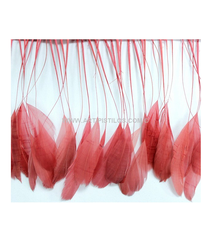 PLUMES DE COQ. RUBAN PREMIÉRE QUALITÉ  - 10 CMS.