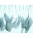 PLUMES DE COQ. RUBAN PREMIÉRE QUALITÉ  - 10 CMS.
