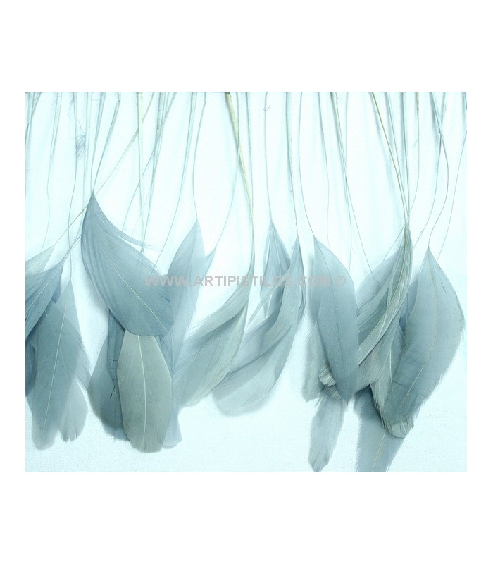 PLUMES DE COQ. RUBAN PREMIÉRE QUALITÉ  - 10 CMS.