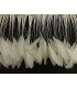 PLUMES DE COQ. RUBAN PREMIÉRE QUALITÉ  - 10 CMS.