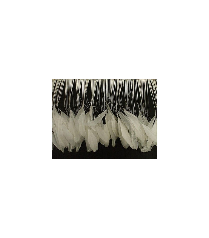 PLUMES DE COQ. RUBAN PREMIÉRE QUALITÉ  - 10 CMS.