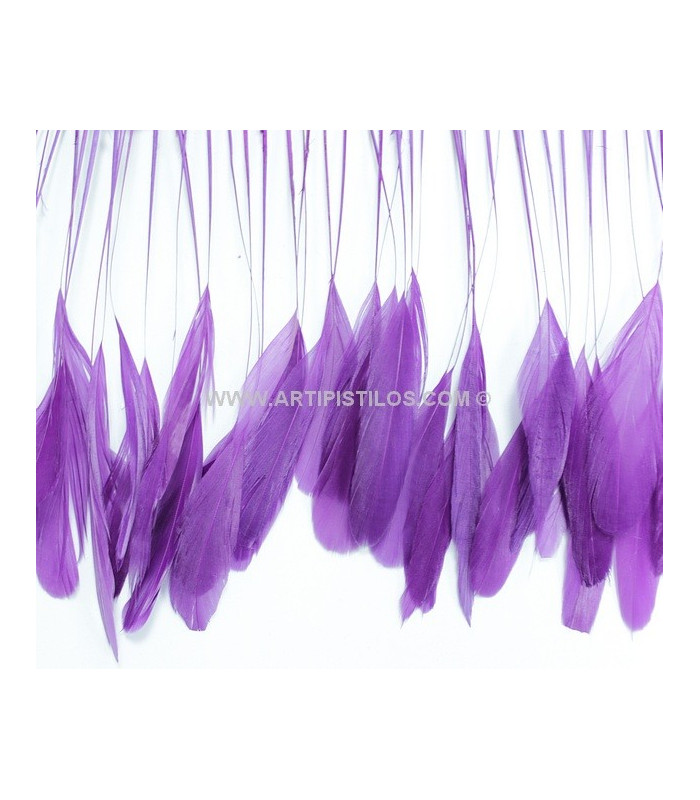 PLUMES DE COQ. RUBAN PREMIÉRE QUALITÉ  - 10 CMS.