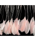 PLUMES DE COQ. RUBAN PREMIÉRE QUALITÉ  - 10 CMS.