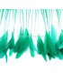 PLUMES DE COQ. RUBAN PREMIÉRE QUALITÉ  - 10 CMS.