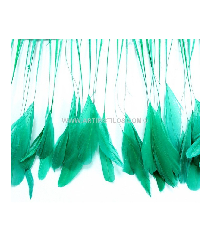 PLUMES DE COQ. RUBAN PREMIÉRE QUALITÉ  - 10 CMS.