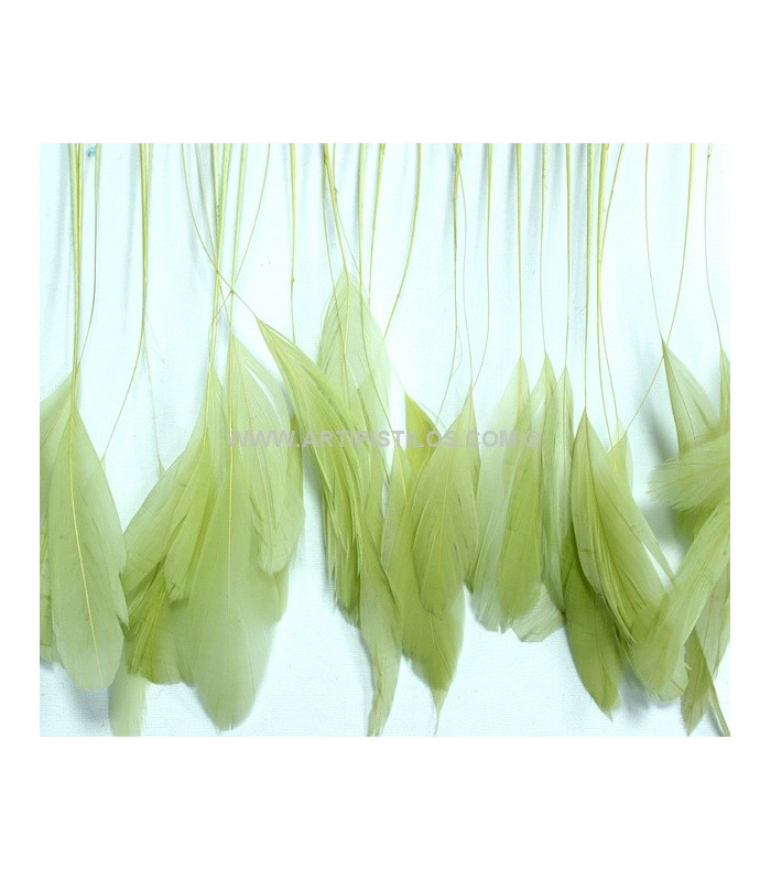 PLUMES DE COQ. RUBAN PREMIÉRE QUALITÉ  - 10 CMS.