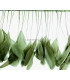 PLUMES DE COQ. RUBAN PREMIÉRE QUALITÉ  - 10 CMS.