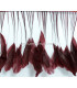 PLUMES DE COQ. RUBAN PREMIÉRE QUALITÉ  - 10 CMS.