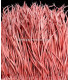 RUBAN D´OIE BIOT PREMIÉRE QUALITÉ -  10 CMS.
