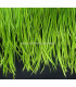 RUBAN D´OIE BIOT PREMIÉRE QUALITÉ -  10 CMS.