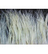 FRANGE PLUMES D´AUTRUCHE - 10 CMS.