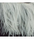 FRANGE PLUMES D´AUTRUCHE - 10 CMS.