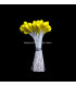 BOUQUET 90 PISTILS 5 MM. MAT TIGE FIL DE FER