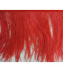 FRANGE PLUMES D´AUTRUCHE - 10 CMS.