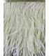 FRANGE PLUMES D´AUTRUCHE - 10 CMS.