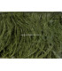 FRANGE PLUMES D´AUTRUCHE - 10 CMS.