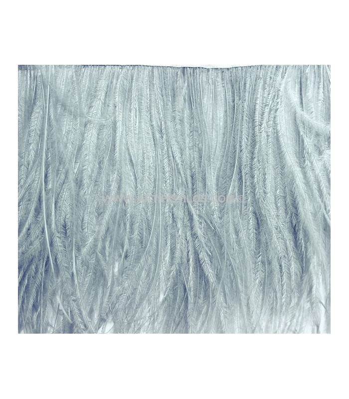 RUBAN D´AUTRUCHE 2 COUCHES 10 CMS. PREMIÈRE QUALITÉ