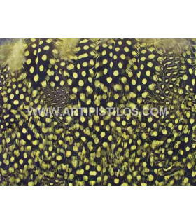 PLUMES DE POULE DE GUINÉE 10 CMS.