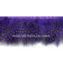 PLUMES DE POULE DE GUINÉE 10 CMS.