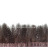 PLUMES DE POULE DE GUINÉE 10 CMS.