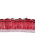 RUBAN PLUMES DE PERDRIX 10 CMS.