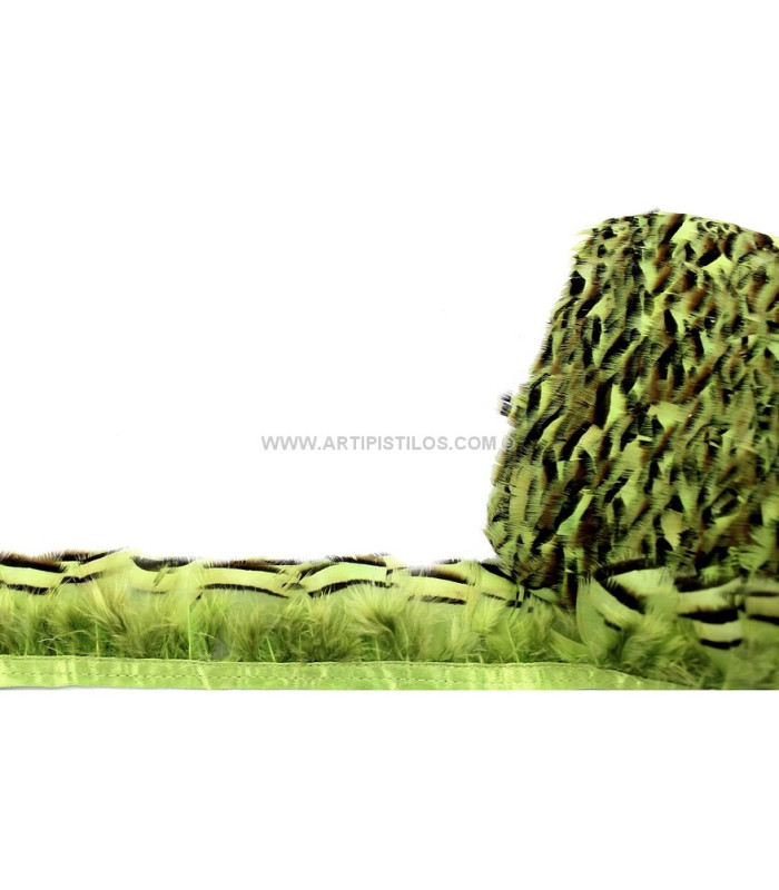 RUBAN PLUMES DE PERDRIX 10 CMS.