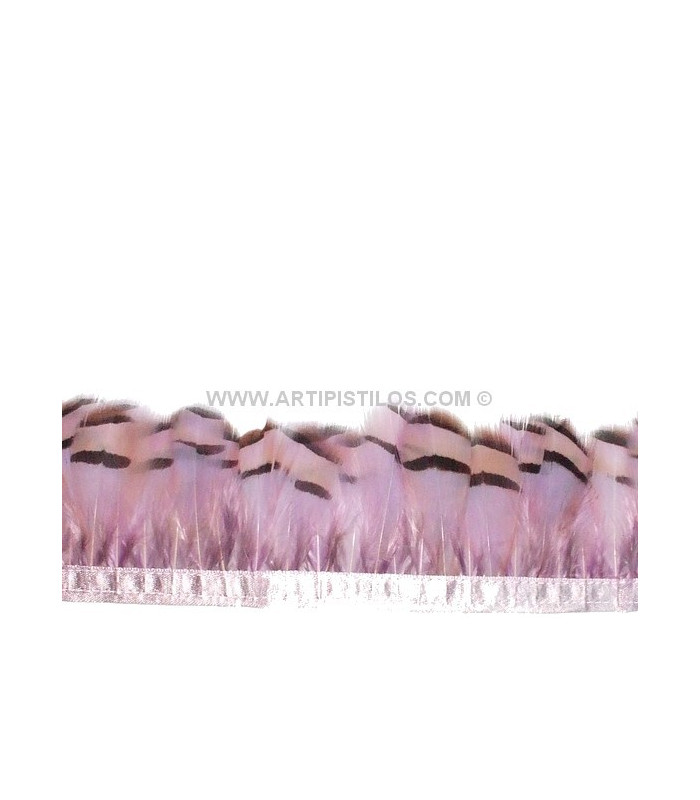 RUBAN PLUMES DE PERDRIX 10 CMS.