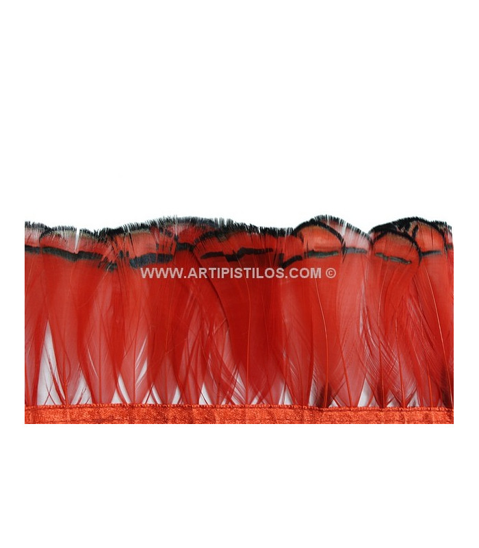PLUMES DE FAISAN FEMME AMHERST 7-8 CMS. 20 CMS.