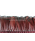PLUMES DE FAISAN FEMME AMHERST 7-8 CMS. 20 CMS.