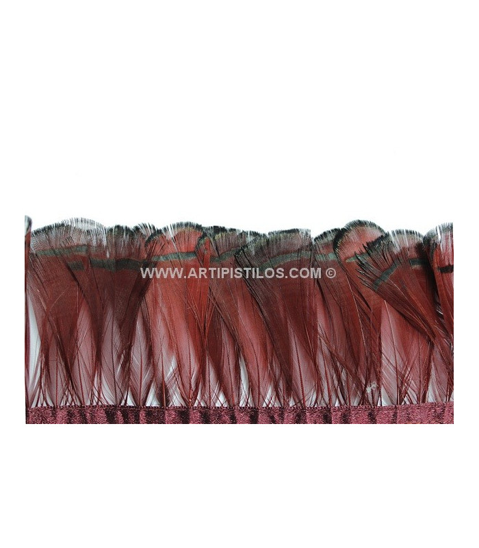 PLUMES DE FAISAN FEMME AMHERST 7-8 CMS. 20 CMS.