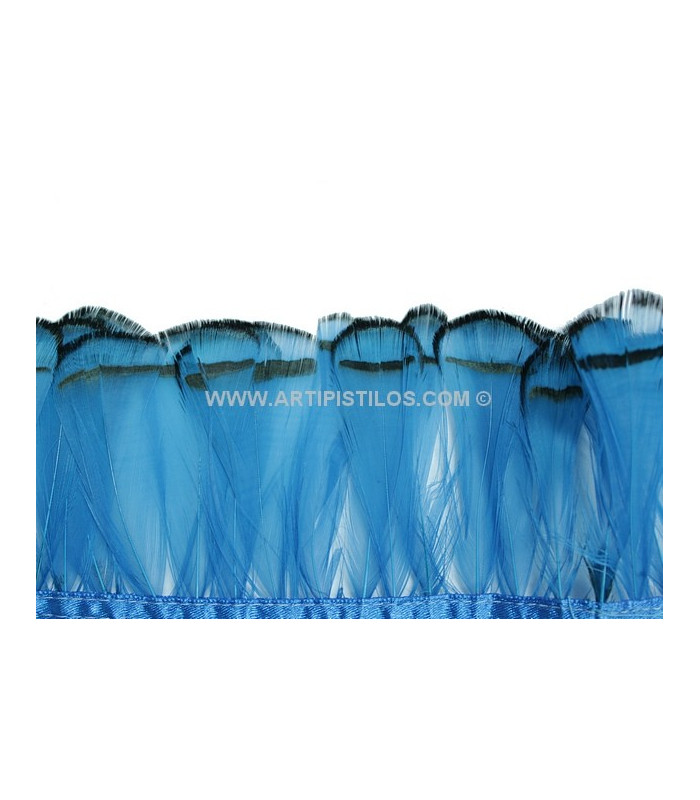 PLUMES DE FAISAN FEMME AMHERST 7-8 CMS. 20 CMS.