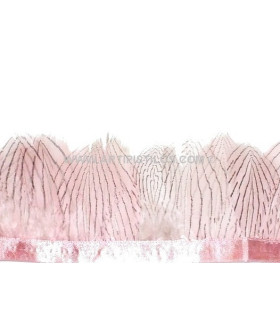 Frange de plumes de faisan argenté 10 cm
