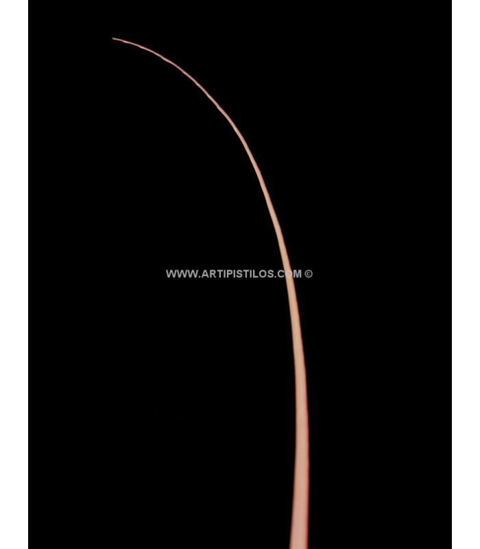 Fully Stripped Spadona 51 - 56 cm